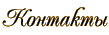 Контакты