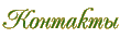 Контакты